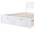 Bybel Daybed-1656170024