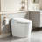 19" Elongated ADA Tall Height Smart Toilet, 1.1/1.6 GPF Dual Flush, Heated Seat, Foot Kick/Off-seat/Blackout Flush, Night Light, Soft Closing, 3-Year Warranty