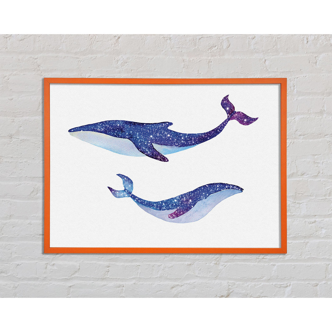 Webster Twinkling Whales - Einzelner Bilderrahmen Kunstdrucke