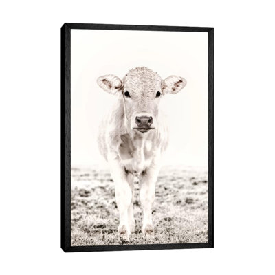 Blonde Cattle Maverick White 1 Piece Wall Art on Canvas