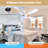 Ceiling Fan with LED Lights-337638973