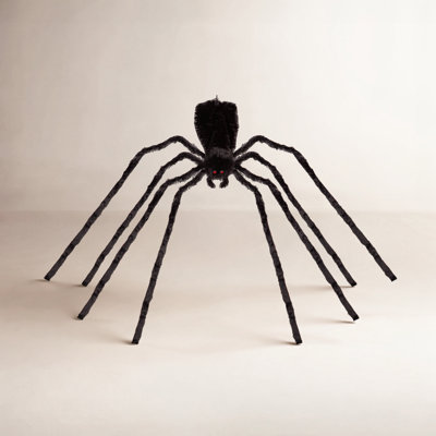 Kamarianna 12 Foot Black Spider Outdoor Halloween Décor