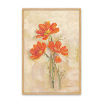 Spicy Orange Cosmos By Carol Rowan Canvas Art Print