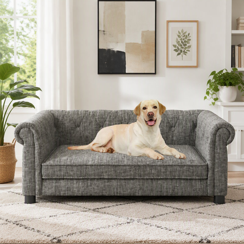 durable elevated dog sofa bed, LIGHT GREY