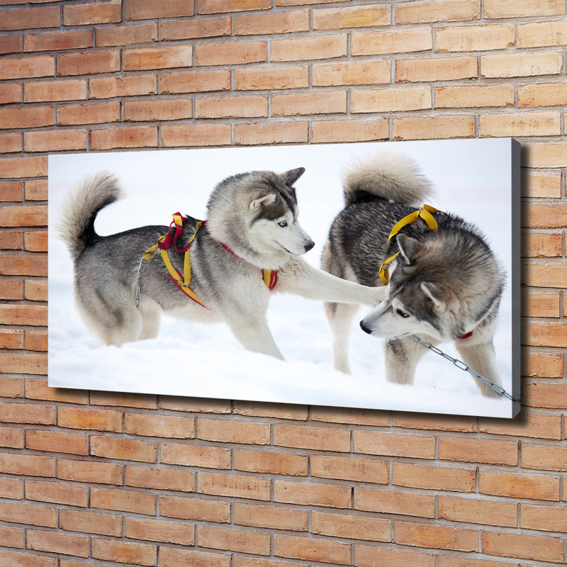 Husky In The Winter - Wrapped Canvas Print