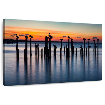 Silhouette de pélicans de Brampt en Floride