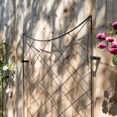 Treillis mural en croissant RHS 61 x 99 cm, support pour plantes grimpantes en acier noir mat