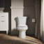 Wellworth® 1.28 GPF Water Efficient Round Two-Piece Toilet (Seat Not Included)-101432458-10979835-101432460