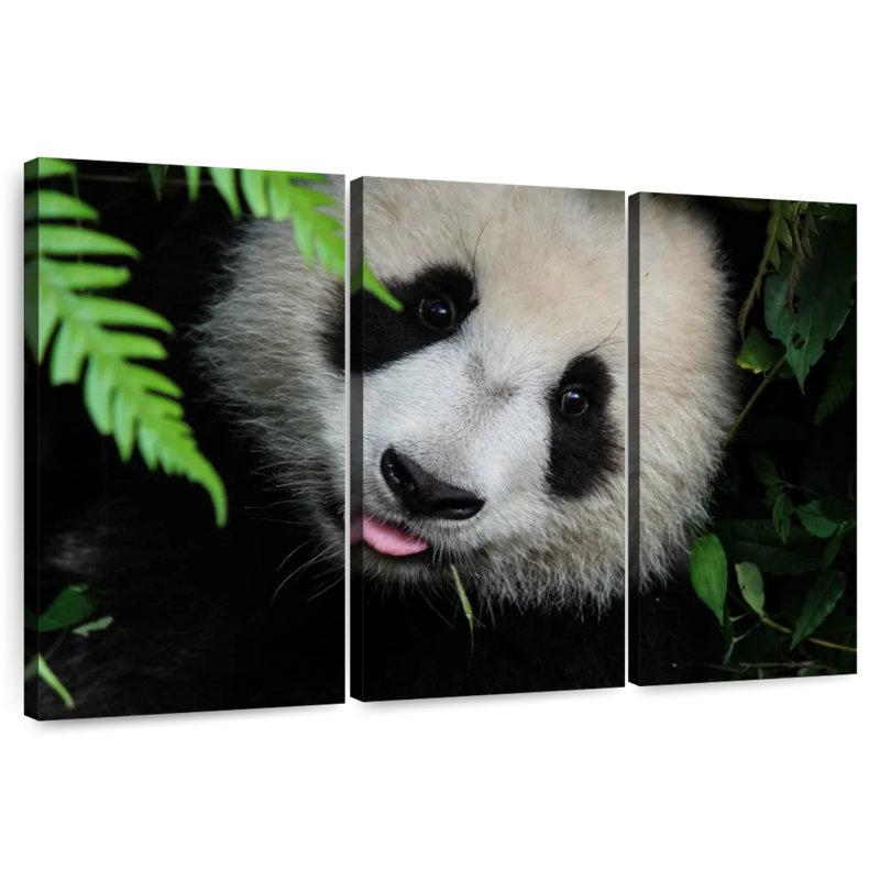 Brampt Panda Surprise, 20" H x 33" W