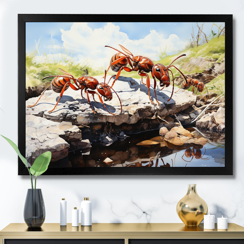 «Ant Tiny Explorers I», reproduction d'art sur toile, Cadre photo noir, H 24 po x l 32 po x P 1 po