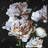 Peonies - 32"x32" art on canvas