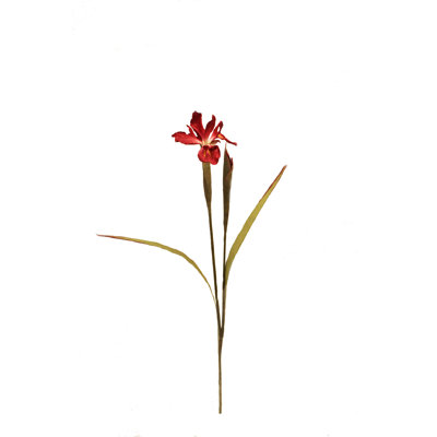 Arrangement