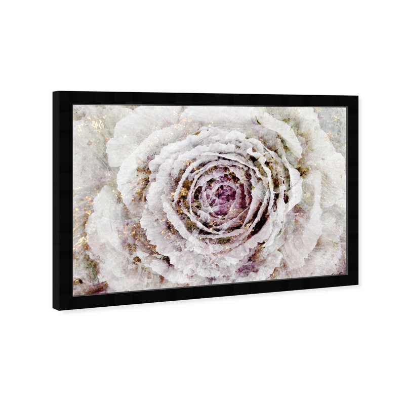 Hiver, fleur de New York - peinture sur papier, H 22 po x l 32 po, Cadre noir