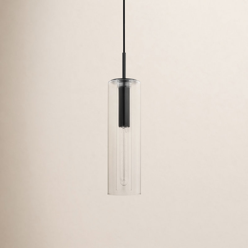 Adreille Single Light Glass Pendant, Polished Nickel