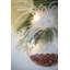 Boules de Noël, boules de Noël suspendues en verre pour décorations de fêtes