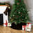 Polyester Stocking-98469432
