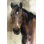 Hank Light V2 par Marilyn Hageman - peinture sur toile tendue