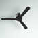 Ohare 58'' Ceiling Fan