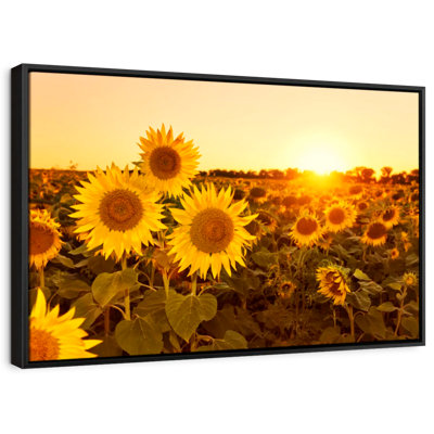 Nature " Sunflower Field Sunset Wall Art "