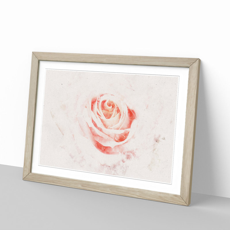 Pale Pink Rose - Framed Print, Oak Framed, 33cm H x 45cm W x 2cm D