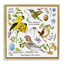 Art mural sur toile flottant encadré "local oiseaux" par Jane Maday-260653240-256105499