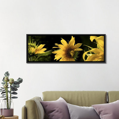 " Sunflowers " by Panoramic Images