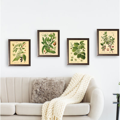 Popular Old-Fashioned Plant Botanical by N. Harbick - 4 Piece Single Picture Frame Graphic Art on Canvas