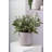 Parsons Handmade Ceramic Pot Planter-94672029-94672030