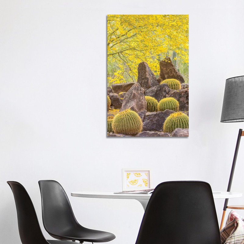 USA, Arizona, Desert Botanic Garden. Cactus Garden And Rocks. by Jaynes Gallery - Wrapped Canvas Gallery-Wrapped Canvas Giclée
