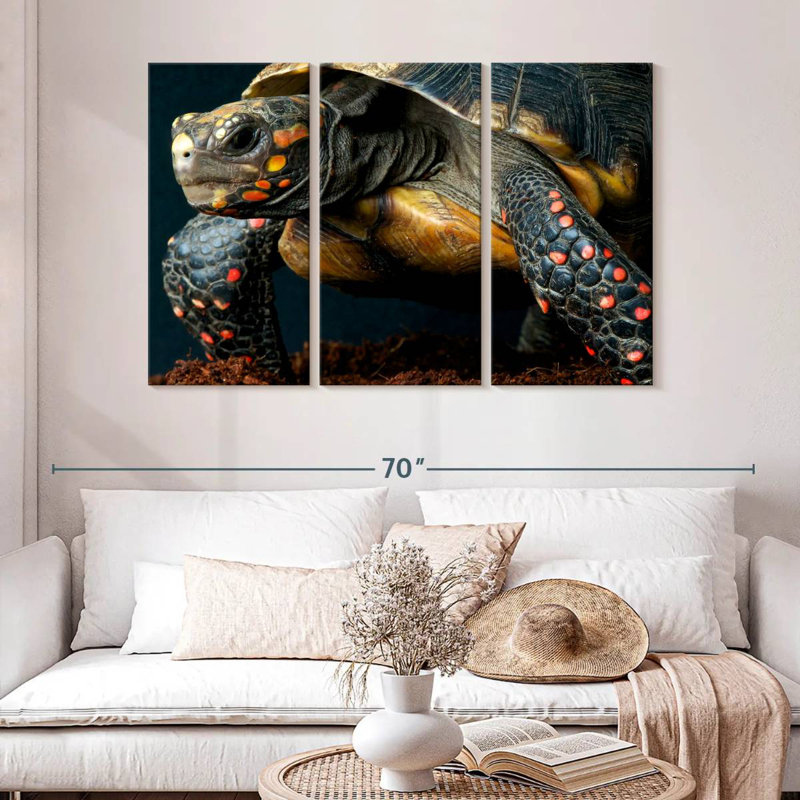 Brampt Amazon Red Footed Tortoise, 32" H x 50" W