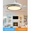 41,96 Ventilateur de plafond