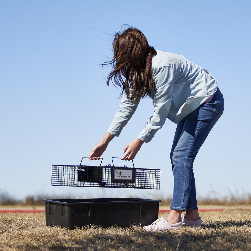 Weather Resistant Rat Cage