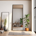 Jolien Modern & Contemporary 64''×21'' PS Full Length Mirror