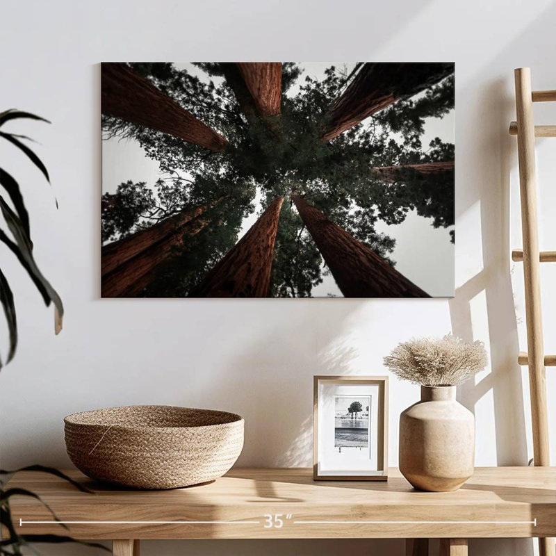 Redwoods de Harnek en Californie, H 16 po x l 24 po
