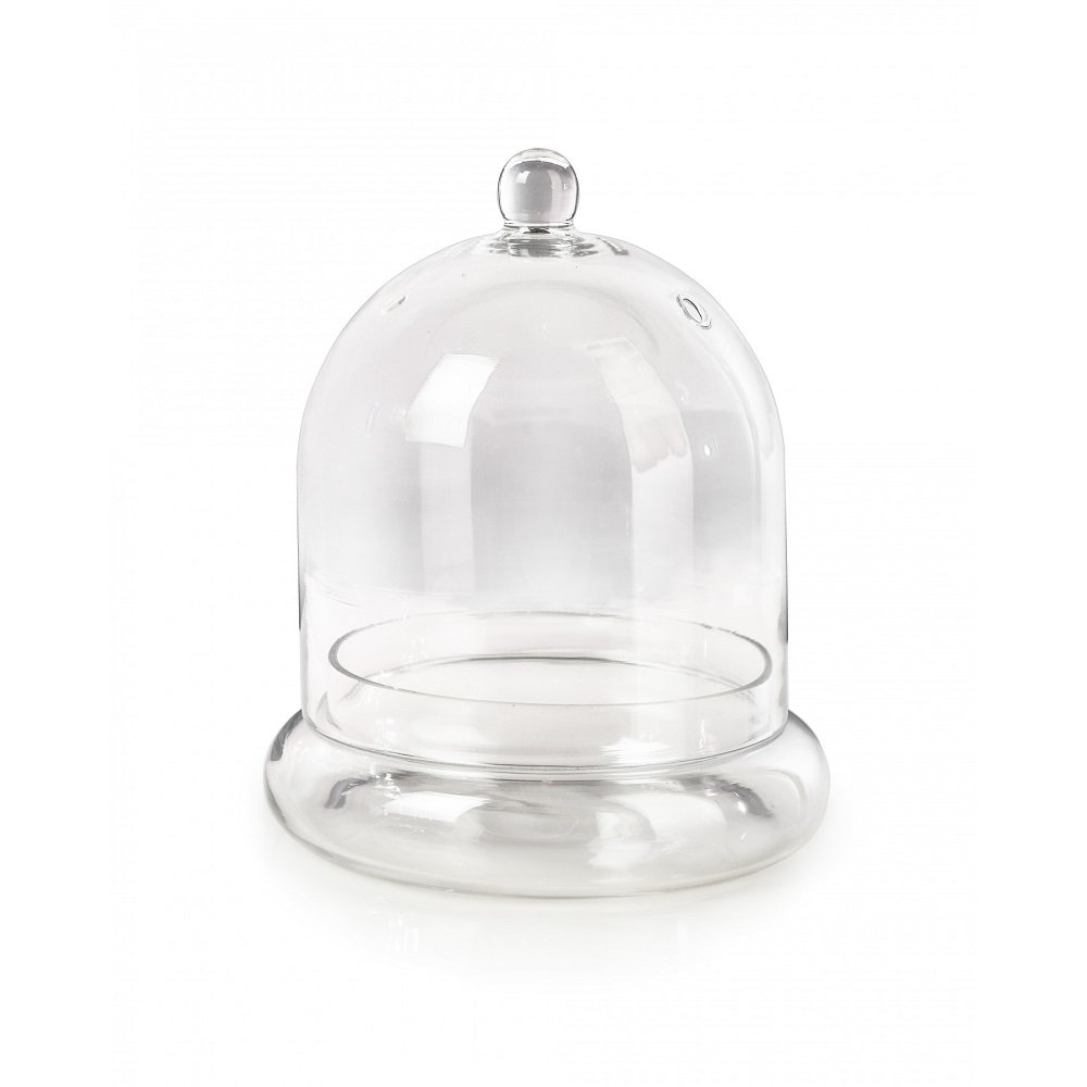 Hantsport Glass Terrarium Wrought Studio™ 