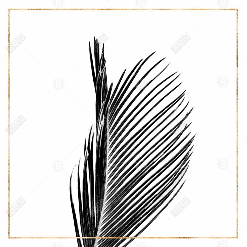 " Areca Palm With Rose Line "