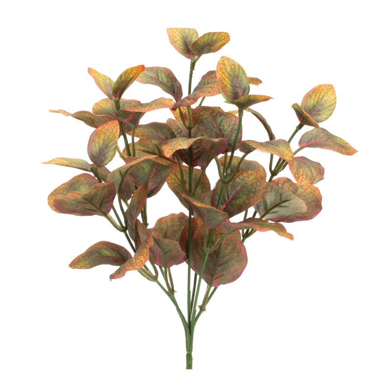 Plante à feuillage panaché (ensemble de 6)