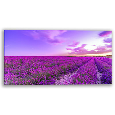 "Provence Lavender Fields" Wrapped Canvas Wall Art