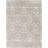 Aleida Oriental Indoor Rug-1664446434