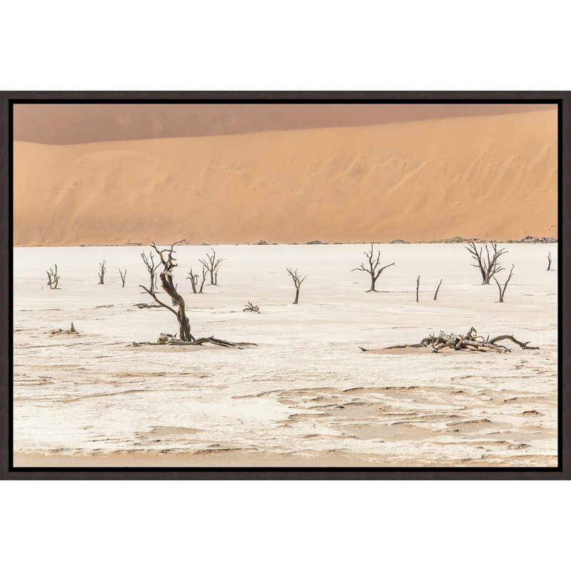 Namibian Skeleton Trees II Print by Richard Silver, Glass Coat, 25.75" H x 37.75" W x 1.5" D