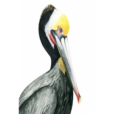 Watercolor Pelican I - Painting on Canvas