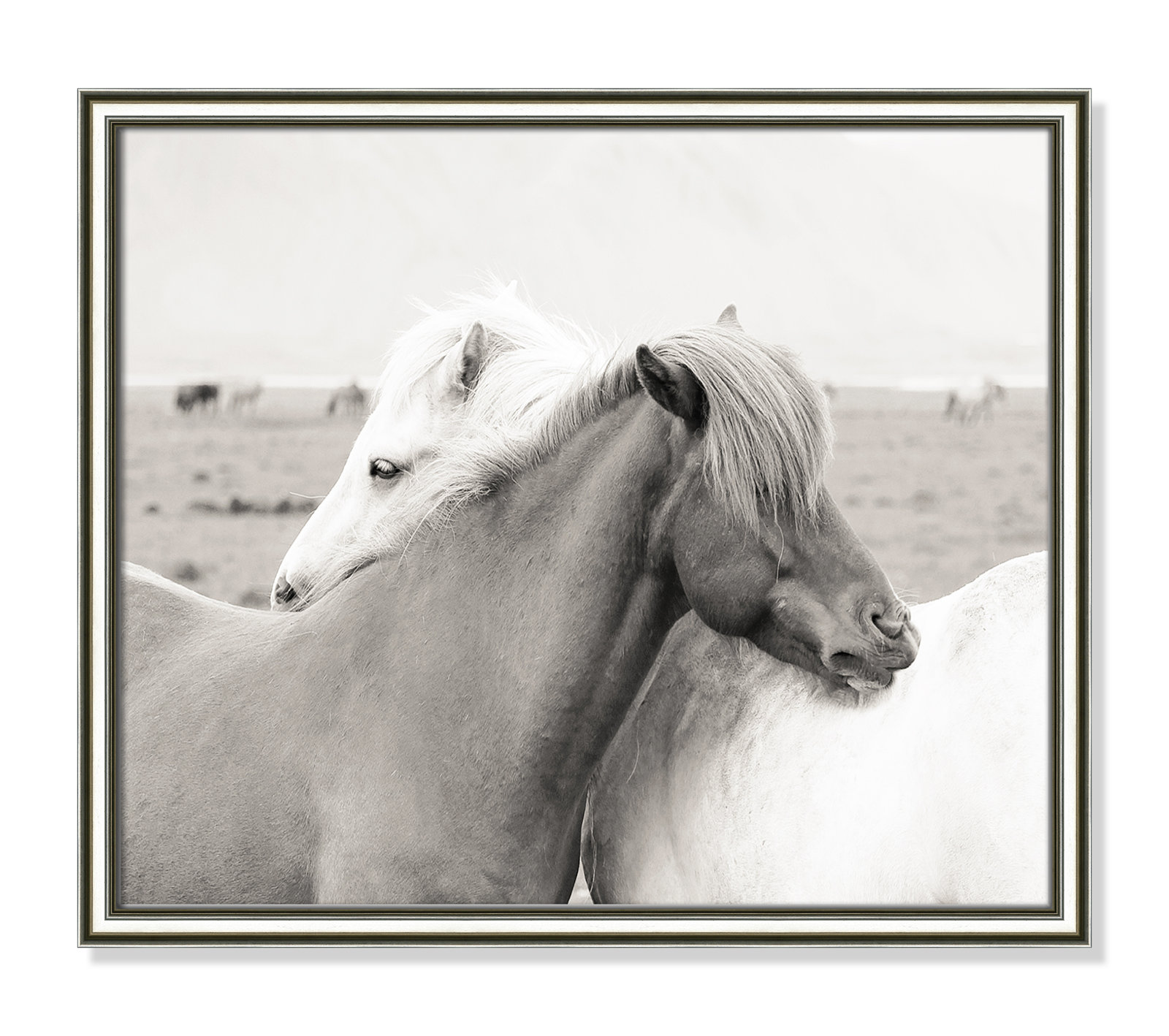 Melanie "Icelandic Meadow Horses" Print, 17.25" H x 20.25" W x 0.88" D, Silver Framed