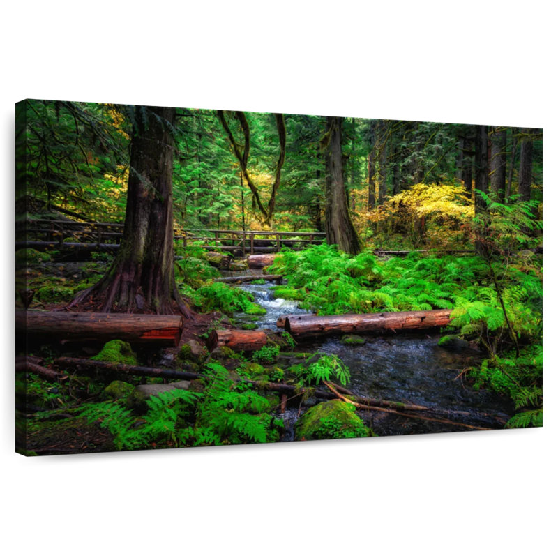 Ruisseau Alvord Willamette National Forest, H 30 po x l 45 po