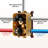 Thermostatic Rainfall Shower System with Rough in-Valve and Shower Body Spray-91264279
