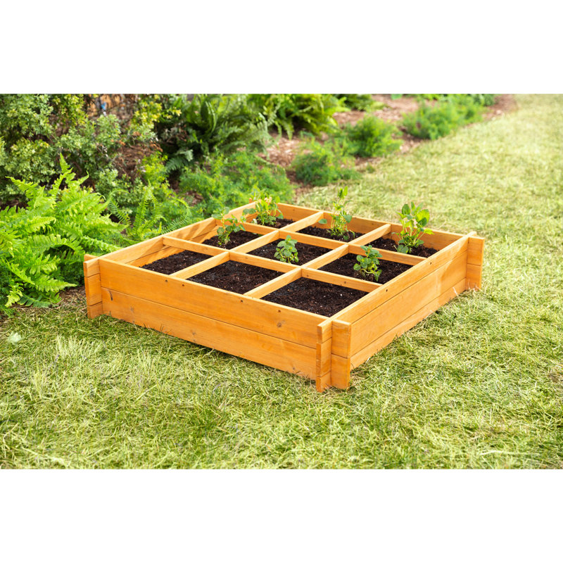 Emmagene Plant Stand