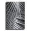 "Cycad, Michigan 80" par Monte Nagler-1949048219