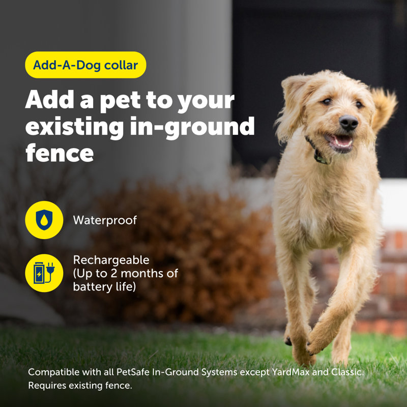 PetSafe Rechargeable In-Ground Fence Receiver Collar