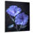 Sans cadre, métal