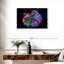 Poisson Betta chromatique-107923673