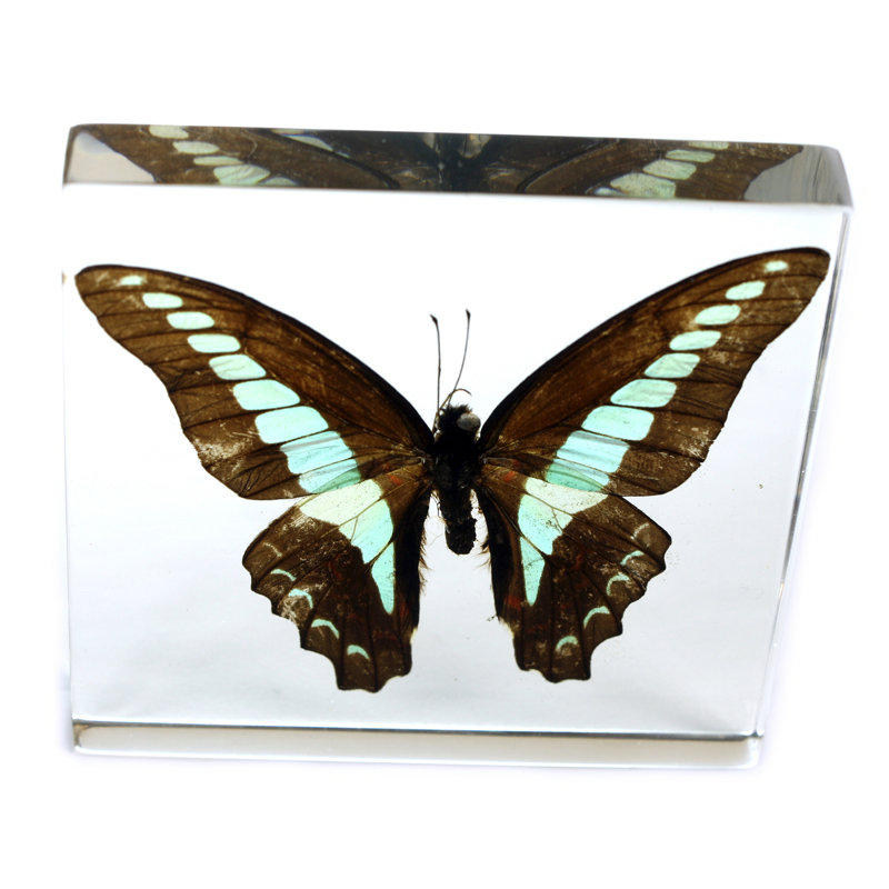 Ragusa Animals Figurines & Sculptures
